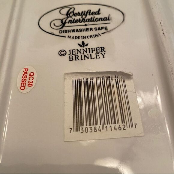 Certified International Salsa Serving Plate - Picture 3 of 5